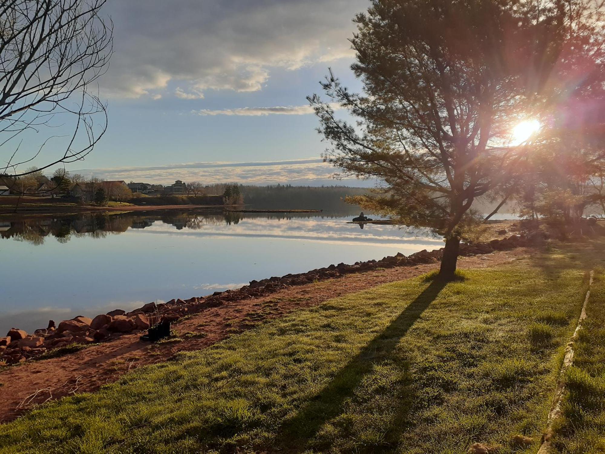 Appartamento Waterside Apts. Cardigan Esterno foto